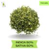 CANNABIS SHAKE CHEAP OUNCE DEALS