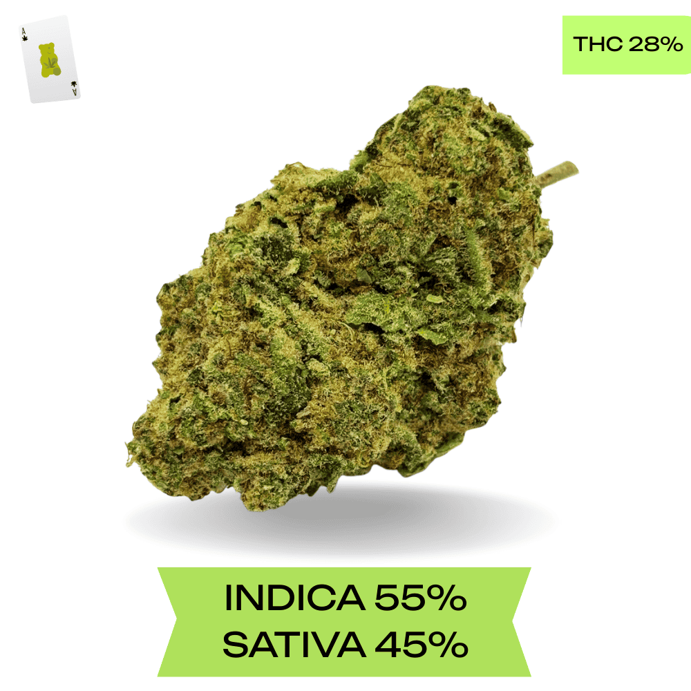 LSD Cannabis strain AAA+