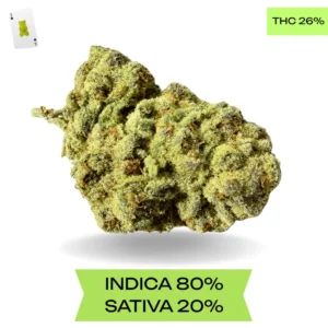 Afgoo OG AAA+