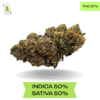 Sugar Biscuit  AAA+
