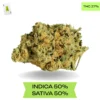 Durban Poison AAA+