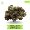 Afgoo OG AAA+