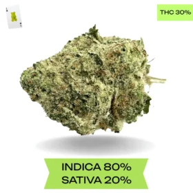 Sticky Icky OG AAAA SUPER STICKY SALE