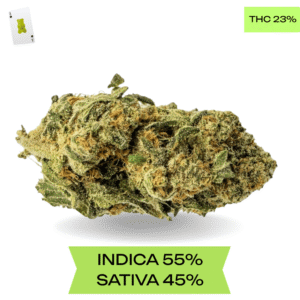 Chemdawg AAA+