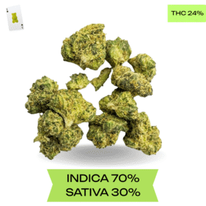 Mk Ultra smalls AAA+