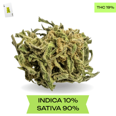 Red Congolese AA+ 3.oZ