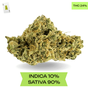 Sour Diesel AAA+