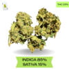 BC Big Bud Smalls AAA 3.oZ